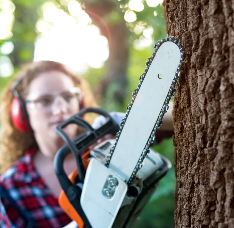 Horticulture Recruitments Experts | Inplace Personnel Services Ltd